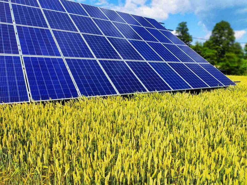 Сонячні панелі Ecosolutions: Чиста та стійка енергія для кращого майбутнього