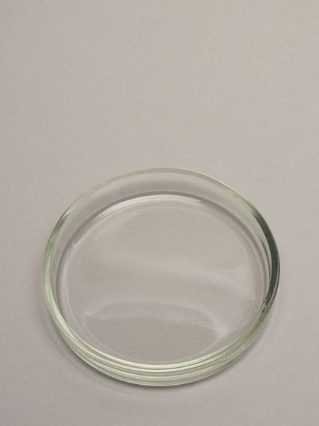 Чашка Петри: Незаменимый инструмент для микробиологических исследований